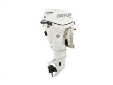2019 EVINRUDE 15 HP E15HTSL OUTBOARD MOTOR