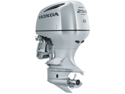 2019 Honda 250 HP BF250DXDA Outboard Motor