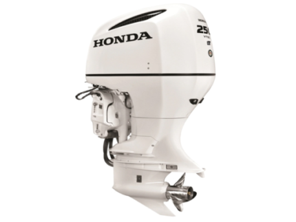 2019 Honda 250 HP BF250DUCDA WT Outboard Motor