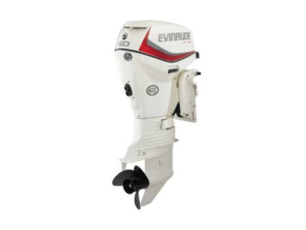 2019 EVINRUDE 50 HP E50DSL OUTBOARD MOTOR