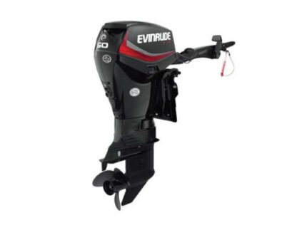 2019 EVINRUDE 50 HP E50DPGL OUTBOARD MOTOR