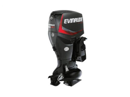 2020 EVINRUDE 60 HP E60DPJL OUTBOARD MOTOR
