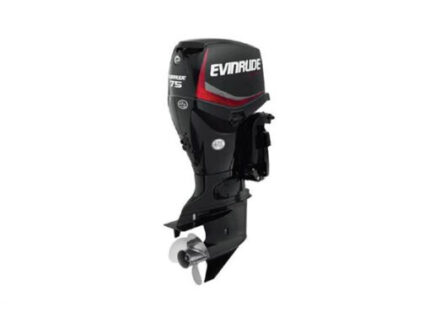 2019 EVINRUDE 75 HP E75DPGL OUTBOARD MOTOR