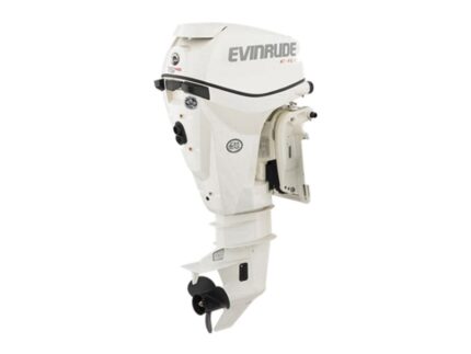Evinrude E15HPL E TEC Outboard Motor