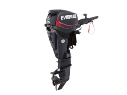 Evinrude E25DGTE E TEC Outboard Motor