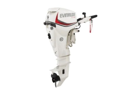 Evinrude E30DRGL E TEC Outboard Motor
