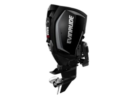 Evinrude H225HGXF 225 H.O Outboard Motor