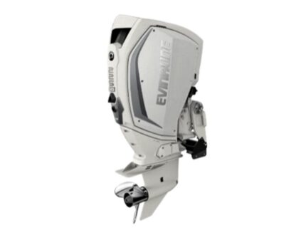 Evinrude H225HWXC 225 HO Outboard Motor