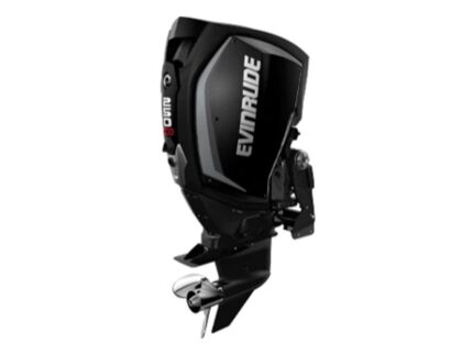 Evinrude H250HGLO 250 HO Outboard Motor