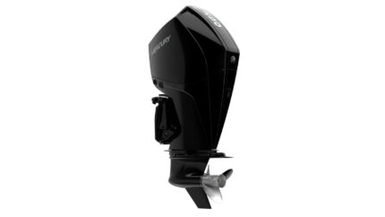 Mercury 250L FourStroke Outboard Motor